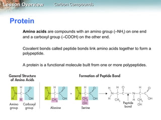 Lesson Overview         Carbon Compounds


  Protein
       Amino acids are compounds with an amino group (–NH2) on one end
       and a carboxyl group (–COOH) on the other end.

       Covalent bonds called peptide bonds link amino acids together to form a
       polypeptide.

       A protein is a functional molecule built from one or more polypeptides.
 
