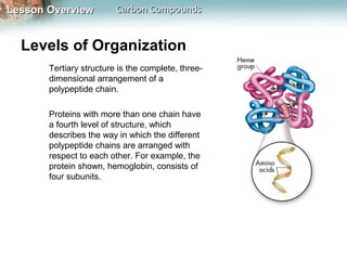 Lesson Overview          Carbon Compounds


  Levels of Organization
       Tertiary structure is the complete, three-
       dimensional arrangement of a
       polypeptide chain.

       Proteins with more than one chain have
       a fourth level of structure, which
       describes the way in which the different
       polypeptide chains are arranged with
       respect to each other. For example, the
       protein shown, hemoglobin, consists of
       four subunits.
 
