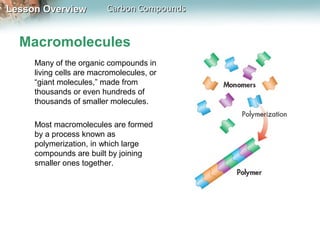 Lesson Overview          Carbon Compounds


  Macromolecules
     Many of the organic compounds in
     living cells are macromolecules, or
     “giant molecules,” made from
     thousands or even hundreds of
     thousands of smaller molecules.

     Most macromolecules are formed
     by a process known as
     polymerization, in which large
     compounds are built by joining
     smaller ones together.
 