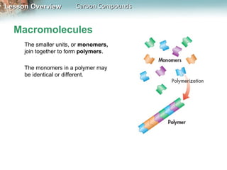 Lesson Overview         Carbon Compounds


  Macromolecules
     The smaller units, or monomers,
     join together to form polymers.

     The monomers in a polymer may
     be identical or different.
 