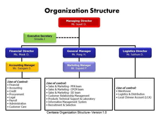 Centasia Organization Structure