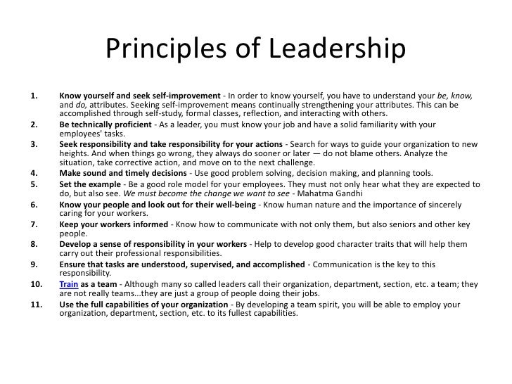ORG 300 Principles of Leadership