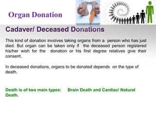 Cadaver/ Deceased Donations
This kind of donation involves taking organs from a person who has just
died. But organ can be taken only if the deceased person registered
his/her wish for the donation or his first degree relatives give their
consent.
In deceased donations, organs to be donated depends on the type of
death.
Death is of two main types: Brain Death and Cardiac/ Natural
Death.
Organ Donation
 