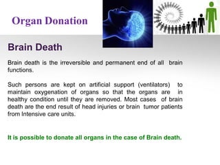 Organ Donation
Brain Death
Brain death is the irreversible and permanent end of all brain
functions.
Such persons are kept on artificial support (ventilators) to
maintain oxygenation of organs so that the organs are in
healthy condition until they are removed. Most cases of brain
death are the end result of head injuries or brain tumor patients
from Intensive care units.
It is possible to donate all organs in the case of Brain death.
 