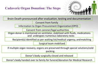 Cadaveric Organ Donation: The Steps
Brain Death pronounced after evaluation, testing and documentation
Consent from Family
Information to Organ Procurement Organization(OPO)
Consent from coroner/legal authorities
Organ donor is maintained on ventilator, stabilized with fluids, medications
and undergoes numerous laboratory tests
Recipient(s) identified as per waiting list/medical urgency, andmatching
Surgical team mobilized
If multiple organ recovery, organs are preserved through special solutions/cold
packing.
Donor’s body surgically closed and released
Donor's body handed over to family for funeral/donation for Medical Research
 
