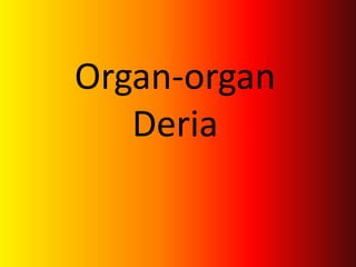 Organ-organ
Deria
 