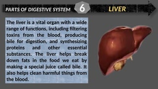 PARTS OF DIGESTIVE SYSTEM LIVER
6
The liver is a vital organ with a wide
range of functions, including filtering
toxins from the blood, producing
bile for digestion, and synthesizing
proteins and other essential
substances. The liver helps break
down fats in the food we eat by
making a special juice called bile. It
also helps clean harmful things from
the blood.
 