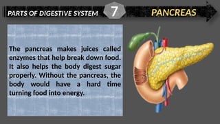 PARTS OF DIGESTIVE SYSTEM PANCREAS
7
The pancreas makes juices called
enzymes that help break down food.
It also helps the body digest sugar
properly. Without the pancreas, the
body would have a hard time
turning food into energy.
 