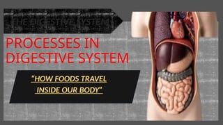 PROCESSES IN
DIGESTIVE SYSTEM
“HOW FOODS TRAVEL
INSIDE OUR BODY”
THE DIGESTIVE SYSTEM
 