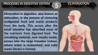 PROCESSES IN DIGESTIVE SYSTEM ELIMINATION
5
Elimination in digestion, also known as
defecation, is the process of removing
undigested food and waste products
from the body. This occurs after the
small intestine has absorbed most of
the nutrients from digested food. The
remaining material, now mostly waste,
passes into the large intestine (colon),
where water is reabsorbed, and solid
waste (feces) is formed.
 