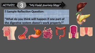 ACTIVITY "My Food Journey Map"
3
📝 Sample Reflection Question:
"What do you think will happen if one part of
the digestive system doesn't work properly?"
 