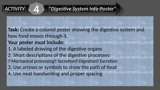 ACTIVITY "Digestive System Info-Poster"
4
Task: Create a colored poster showing the digestive system and
how food moves through it.
Your poster must include:
1. A labeled drawing of the digestive organs
2. Short descriptions of the digestive processes:
✅ Mechanical processing✅ Secretion✅ Digestion✅ Excretion
3. Use arrows or symbols to show the path of food
4. Use neat handwriting and proper spacing
 