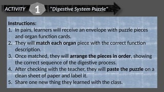 ACTIVITY "Digestive System Puzzle"
1
Instructions:
1. In pairs, learners will receive an envelope with puzzle pieces
and organ function cards.
2. They will match each organ piece with the correct function
description.
3. Once matched, they will arrange the pieces in order, showing
the correct sequence of the digestive process.
4. After checking with the teacher, they will paste the puzzle on a
clean sheet of paper and label it.
5. Share one new thing they learned with the class.
 