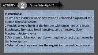 ACTIVITY “Label Me Right!”
2
Instructions:
1.Give each learner a worksheet with an unlabeled diagram of the
human digestive system.
2.Provide a word bank at the bottom with organ names: Mouth,
Esophagus, Stomach, Small Intestine, Large Intestine, Liver,
Pancreas, Rectum, Anus.
3.Ask them to label each part by writing the correct organ name in
the blank spaces.
4.When done, they can color the organs for fun and better recall.
 