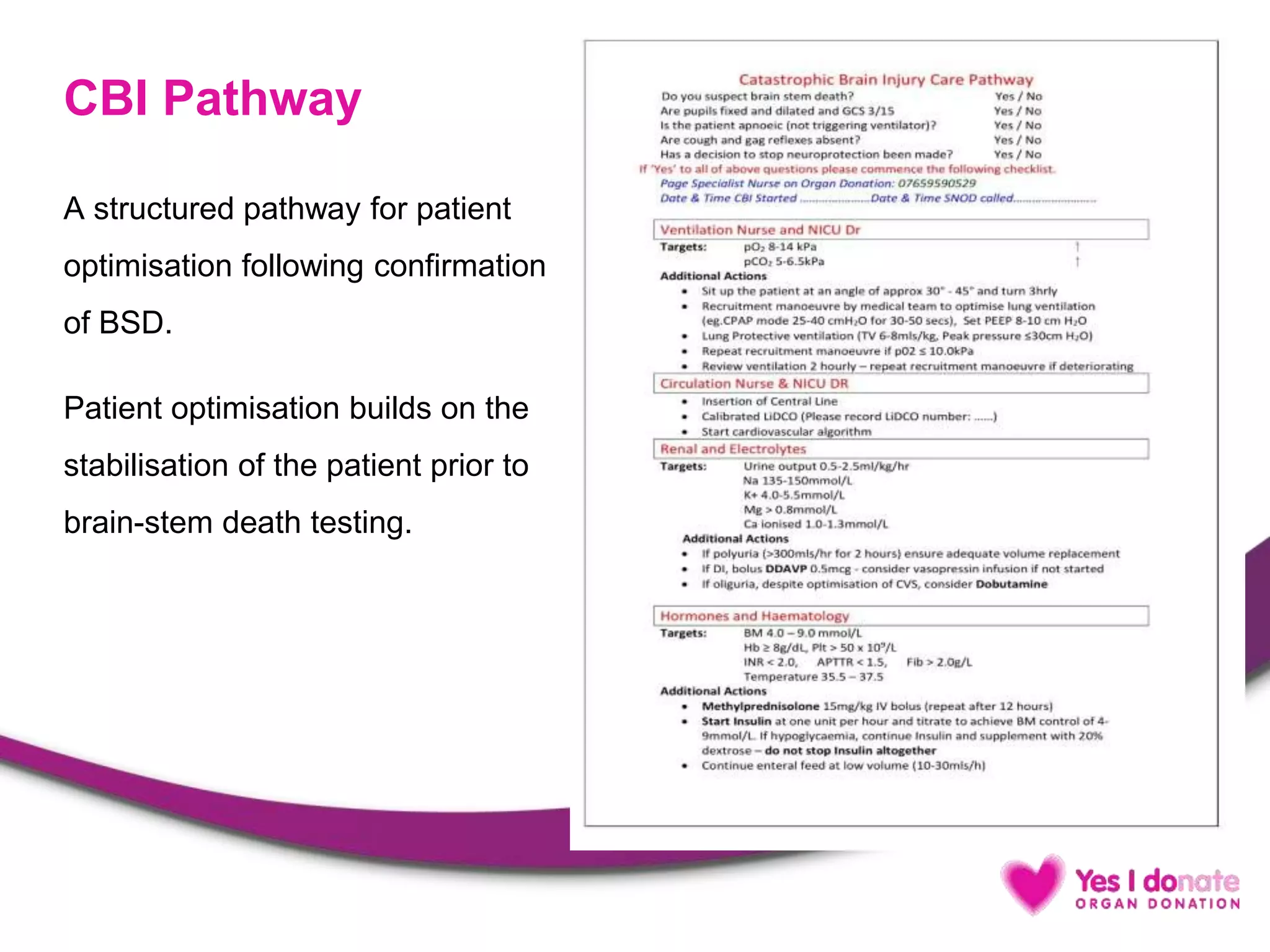 CBI Pathway
A structured pathway for patient
optimisation following confirmation
of BSD.
Patient optimisation builds on the
stabilisation of the patient prior to
brain-stem death testing.
 