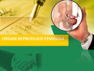 ORGAN REPRODUKSI FEMININA
 