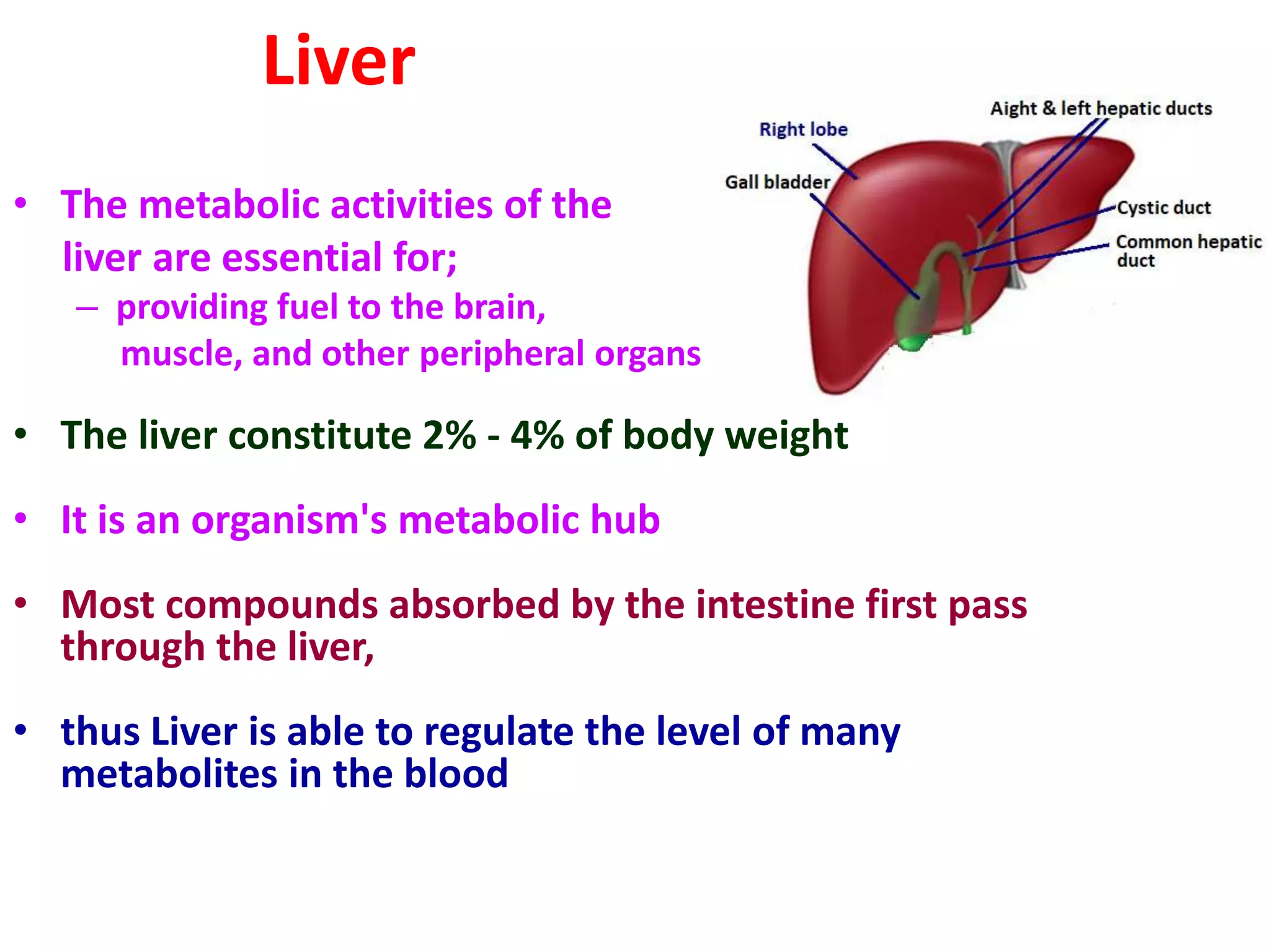 Organ based metabolism liver | PPTX