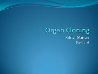 Organ Cloning  Kristen Mattera Period: 6 