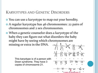 Karyotypes and Genetic DisordersYou can use a karyotype to map out your heredity.A regular karyotype has 46 chromosomes: 22 pairs of chromosomes and 2 sex chromosomes.When a genetic counselor does a karyotype of the baby they can figure out what disorders the baby might have by seeing which chromosomes are missing or extra in the DNA.This karyotype is of a person with Down syndrome. They have 3 copies of chromosome 21.