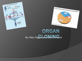 Organ Cloning By, Abby Higgins and Alex Florencia 