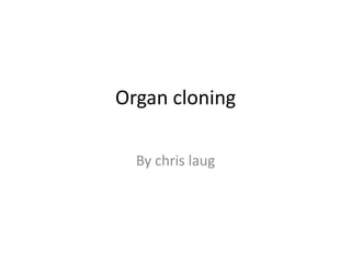 Organ cloning By chrislaug 