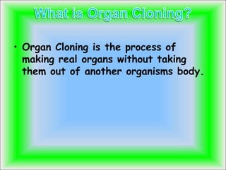 They test organ cloning  on pigs 
