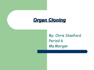 Organ Cloning By: Chris Stanford Period 6 Ms.Morgan 