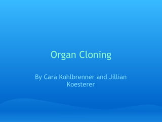 Organ Cloning By Cara Kohlbrenner and Jillian Koesterer 
