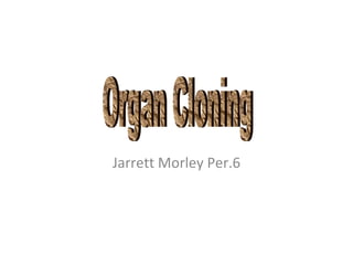 Jarrett Morley Per.6 Organ Cloning 