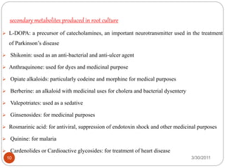 secondary metabolites produced in root culture
3/30/201110
 L-DOPA: a precursor of catecholamines, an important neurotransmitter used in the treatment
of Parkinson’s disease
 Shikonin: used as an anti-bacterial and anti-ulcer agent
 Anthraquinone: used for dyes and medicinal purpose
 Opiate alkaloids: particularly codeine and morphine for medical purposes
 Berberine: an alkaloid with medicinal uses for cholera and bacterial dysentery
 Valepotriates: used as a sedative
 Ginsenosides: for medicinal purposes
 Rosmarinic acid: for antiviral, suppression of endotoxin shock and other medicinal purposes
 Quinine: for malaria
 Cardenolides or Cardioactive glycosides: for treatment of heart disease
 