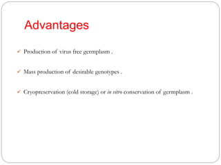 Advantages
 Production of virus free germplasm .
 Mass production of desirable genotypes .
 Cryopreservation (cold storage) or in vitro conservation of germplasm .
 