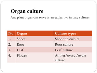 Organ culture
Any plant organ can serve as an explant to initiate cultures
No. Organ Culture types
1. Shoot Shoot tip culture
2. Root Root culture
3. Leaf Leaf culture
4. Flower Anther/ovary /ovule
culture
 
