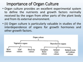 Importance of Organ Culture
• Organ culture provides an excellent experimental system
to define the nutrients and growth factors normally
received by the organ from other parts of the plant body
and from its external environment.
• (ii) Organ culture is particularly valuable in studies of the
interdependence of organs for growth hormones and
other growth factors.
 