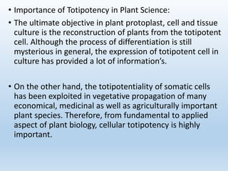 • Importance of Totipotency in Plant Science:
• The ultimate objective in plant protoplast, cell and tissue
culture is the reconstruction of plants from the totipotent
cell. Although the process of differentiation is still
mysterious in general, the expression of totipotent cell in
culture has provided a lot of information’s.
• On the other hand, the totipotentiality of somatic cells
has been exploited in vegetative propagation of many
economical, medicinal as well as agriculturally important
plant species. Therefore, from fundamental to applied
aspect of plant biology, cellular totipotency is highly
important.
 