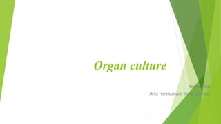 Organ culture
Reema Naik
M.Sc Horticulture (Fruit science)
 