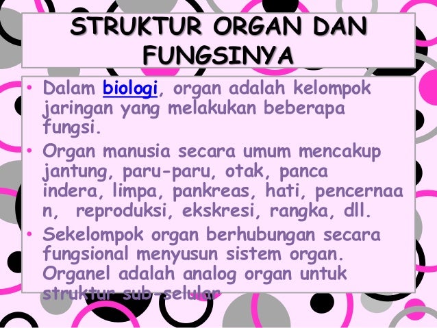 Organ Dan Fungsinya 4