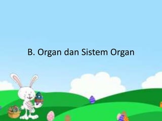 B. Organ dan Sistem Organ
 