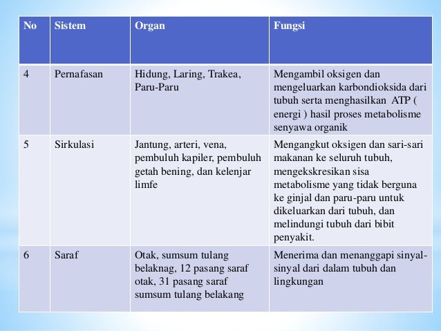 Organ Tubuh Hewan Kelinci Dan Fungsinya