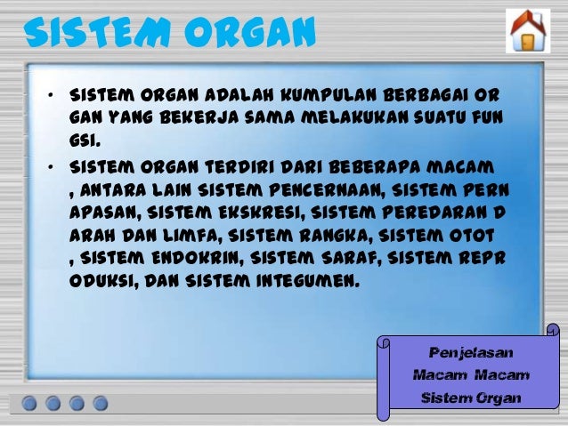  Organ  dan  sistem organ  new 2 