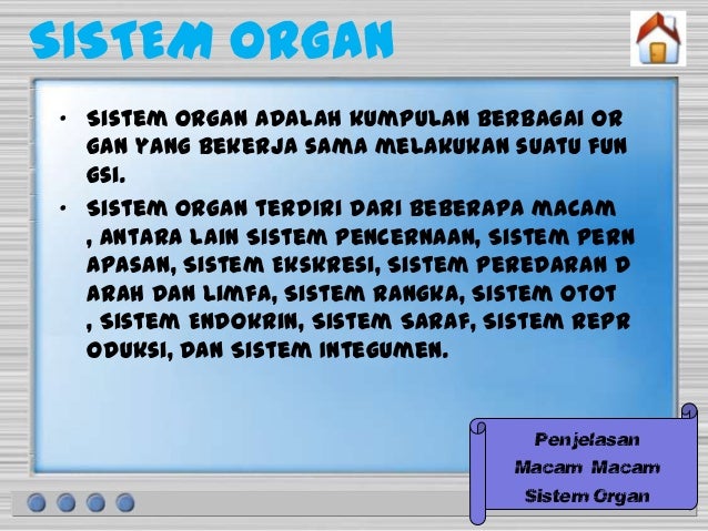 Organ dan sistem organ new 2 Organ dan sistem organ new 2