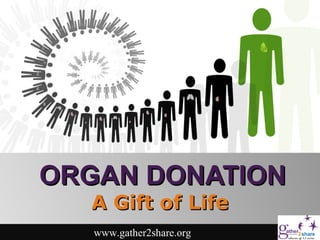 ORGAN DONATIONORGAN DONATION
A Gift of LifeA Gift of Life
www.gather2share.org
 