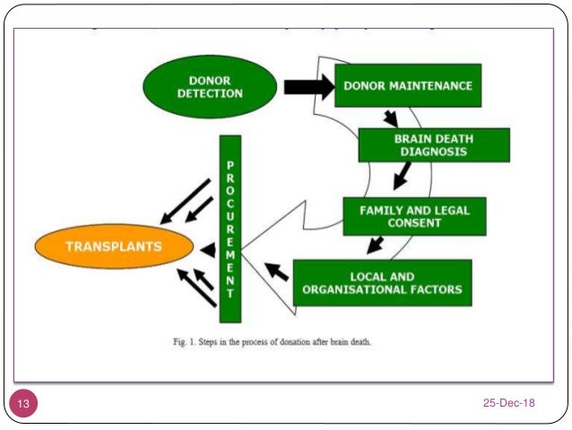 Organ transplant ethics case study image