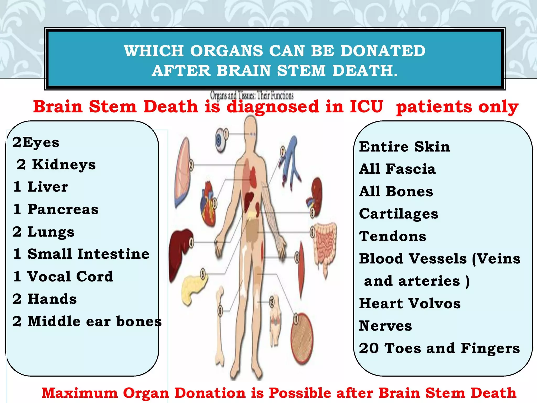 Organ donation english ppt