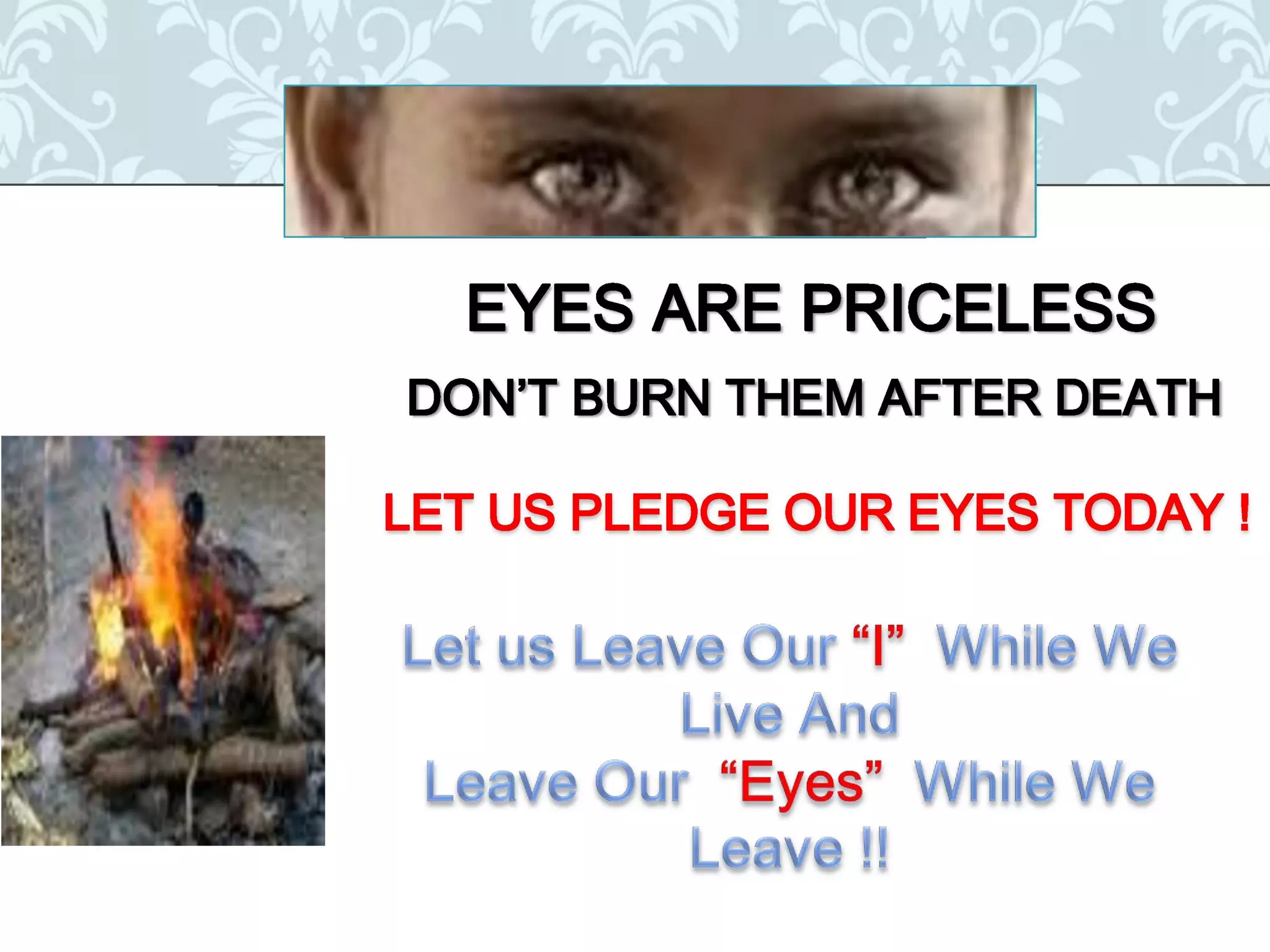 Organ donation english ppt