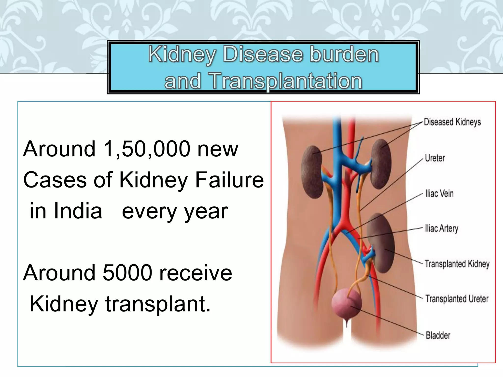 Organ donation english ppt