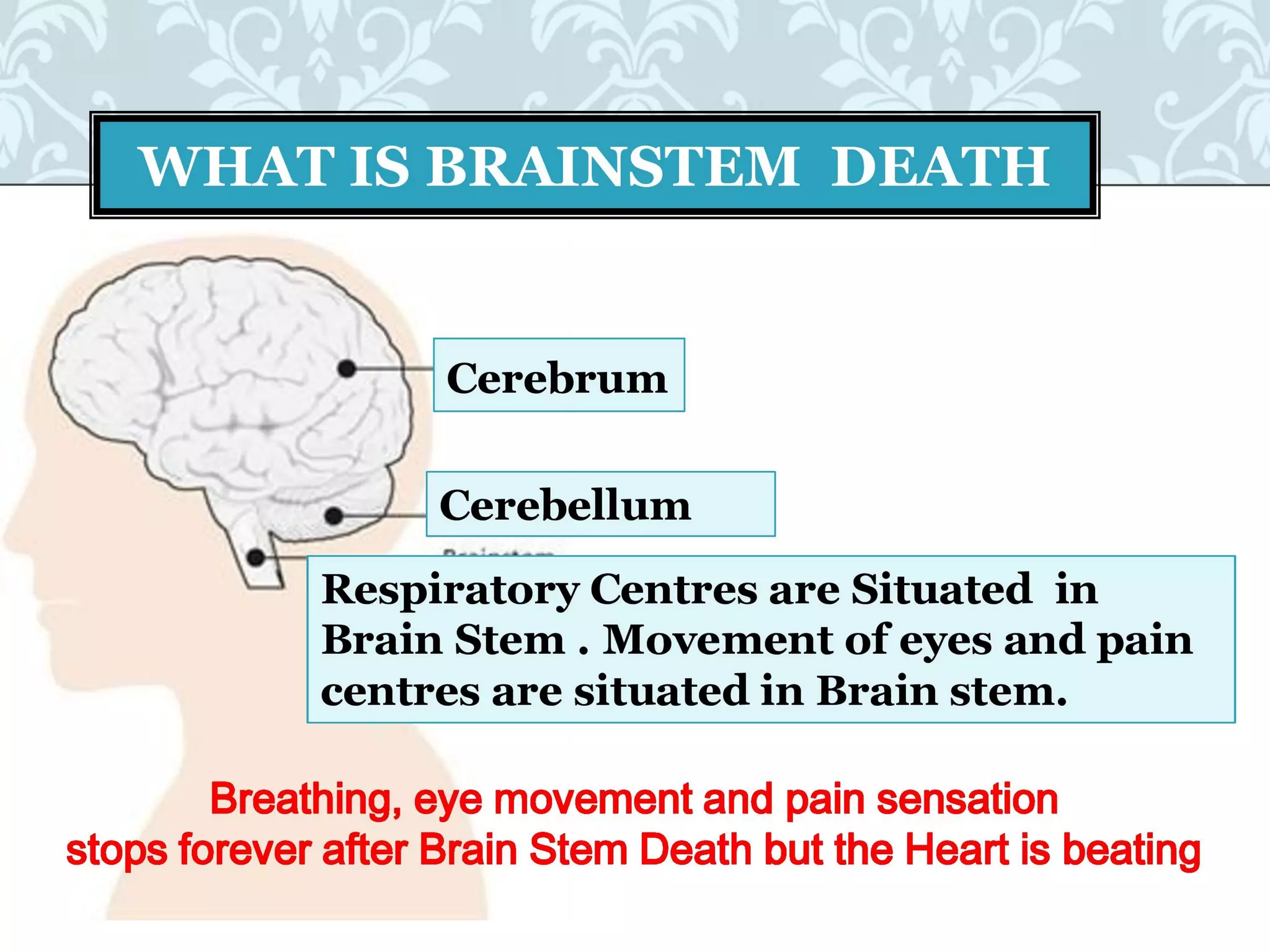 Organ donation english ppt