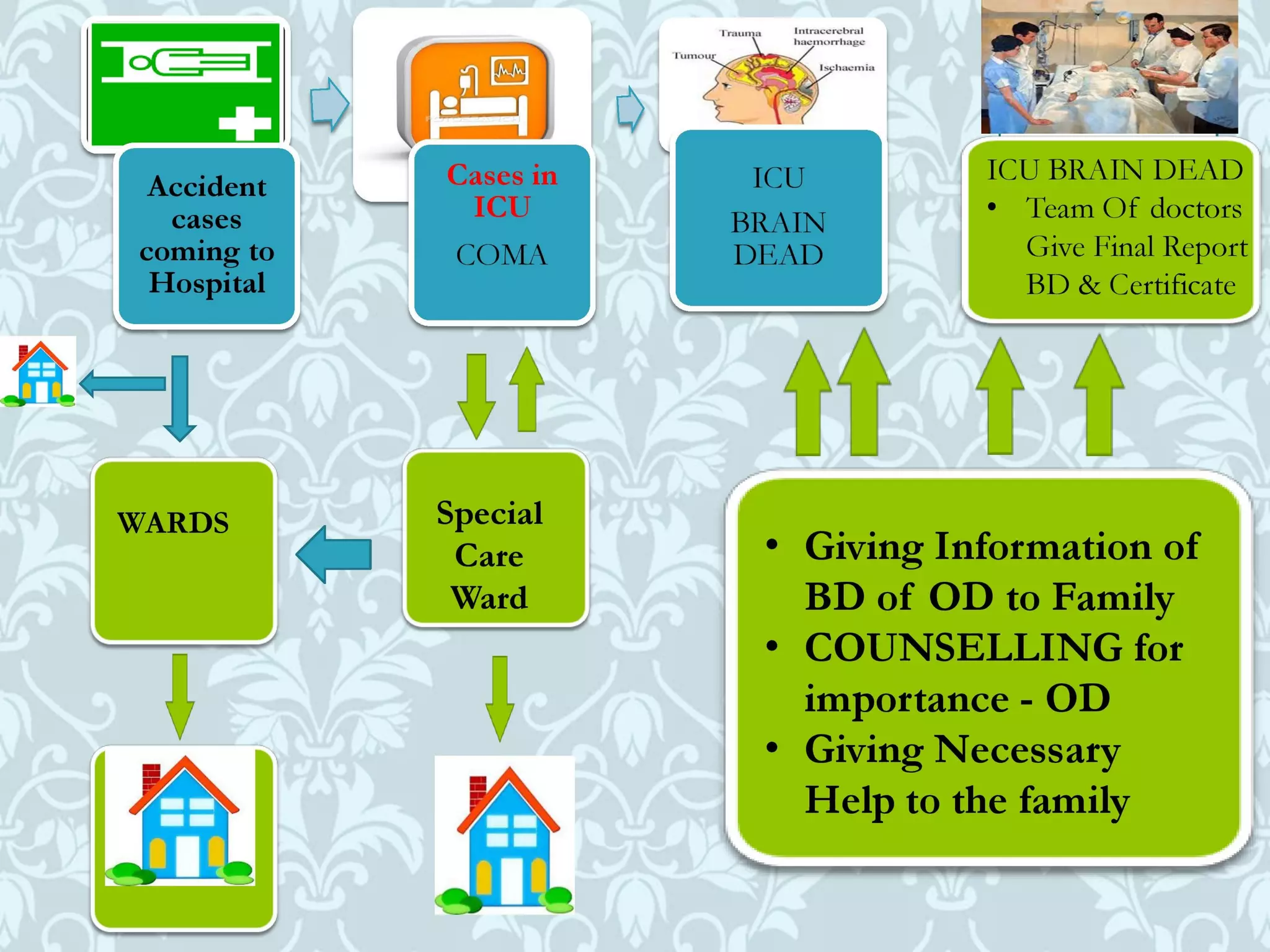 Organ donation english ppt