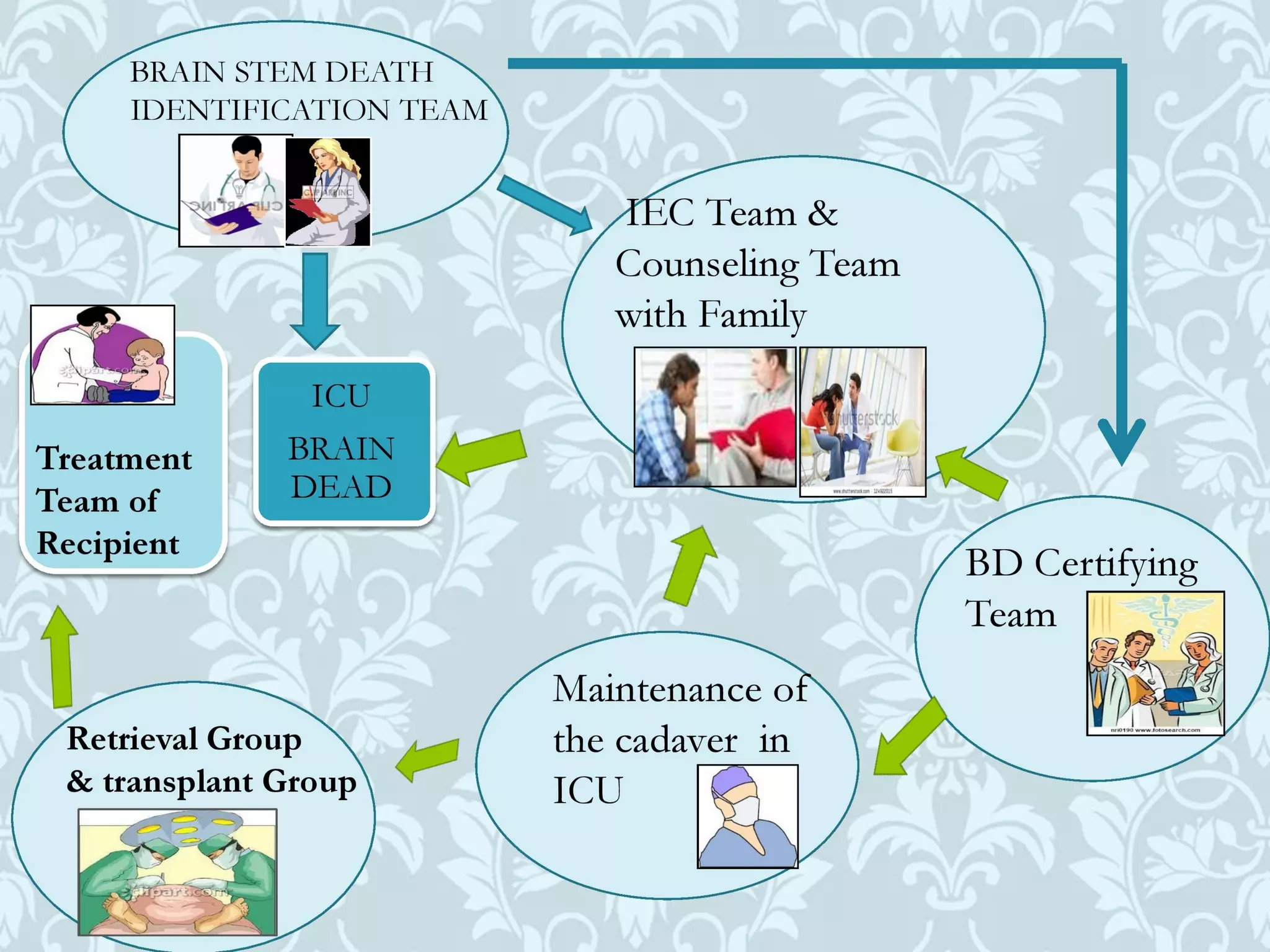 Organ donation english ppt