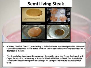 Semi Living Steak
• In 2000, the first “steaks”, measuring 1cm in diameter, were composed of pre-natal
skeletal muscles cells—cells taken from an unborn sheep—which were seeded on a
degradable matrix.
• The Semi-living Steak was the outcome of a residency at the Tissue Engineering &
Organ Fabrication Laboratory at Harvard Medical School in 2000.The Semi-living
Steak is the first known proof-of-concept for using tissue culture exclusively for
food.
 