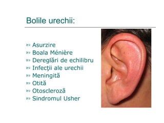 Bolile urechii: Asurzire Boala   Ménière Dereglări  de  echilibru Infecţii  ale  urechii Meningită Otită Otoscleroză Sindromul  Usher   